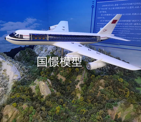 得荣县飞机模型